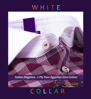 Windsor- Burgundy Check- White Collar