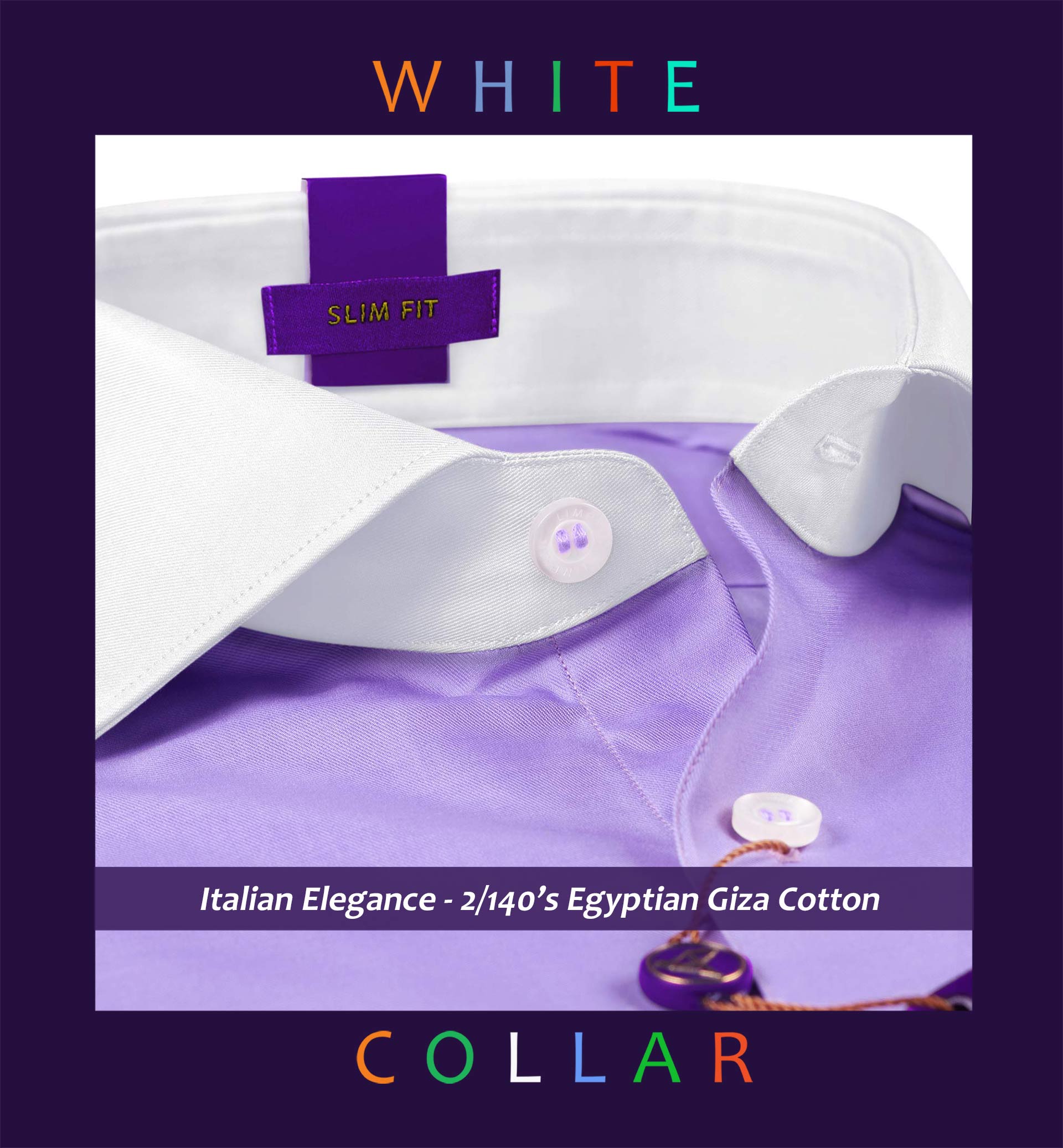 Warsaw- Amethyst Solid with White Collar