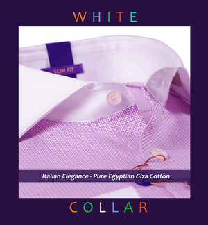 Wellington- Pink Structure- White Collar